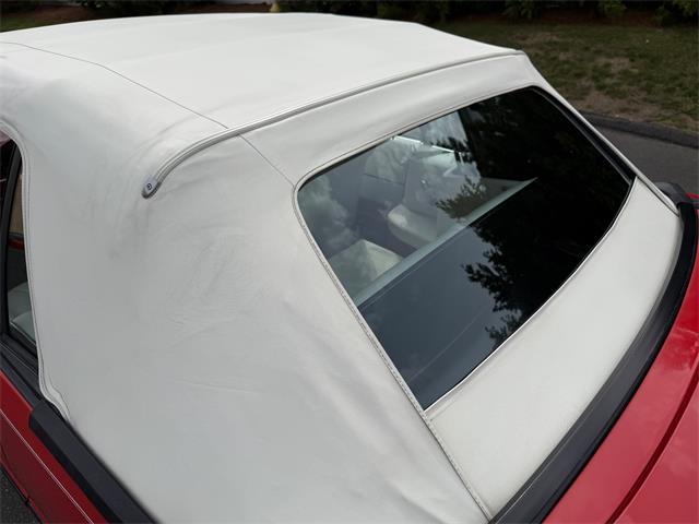 1983 Ford Mustang (CC-2076794) for sale in Milford City, Connecticut