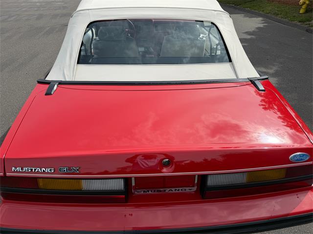 1983 Ford Mustang (CC-2076794) for sale in Milford City, Connecticut