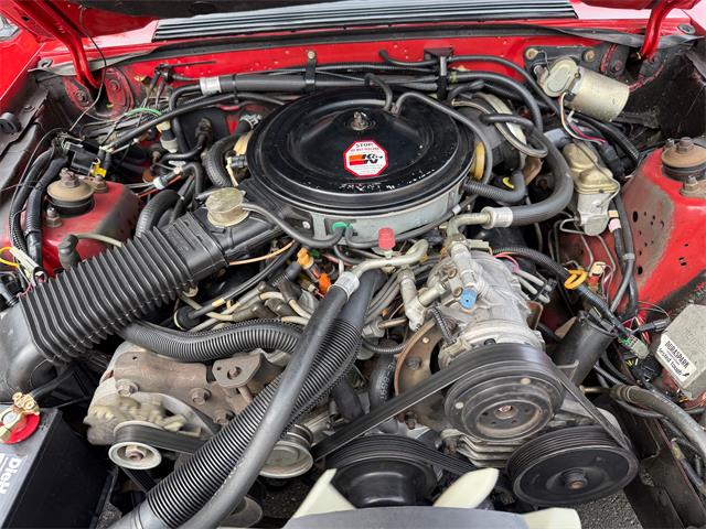 1983 Ford Mustang (CC-2076794) for sale in Milford City, Connecticut