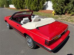 1983 Ford Mustang (CC-2076794) for sale in Milford City, Connecticut