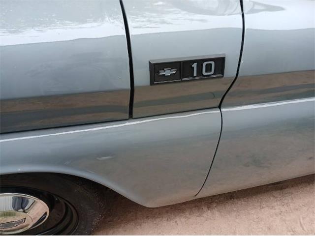 1965 Chevrolet C10 (CC-2076795) for sale in Cadillac, Michigan