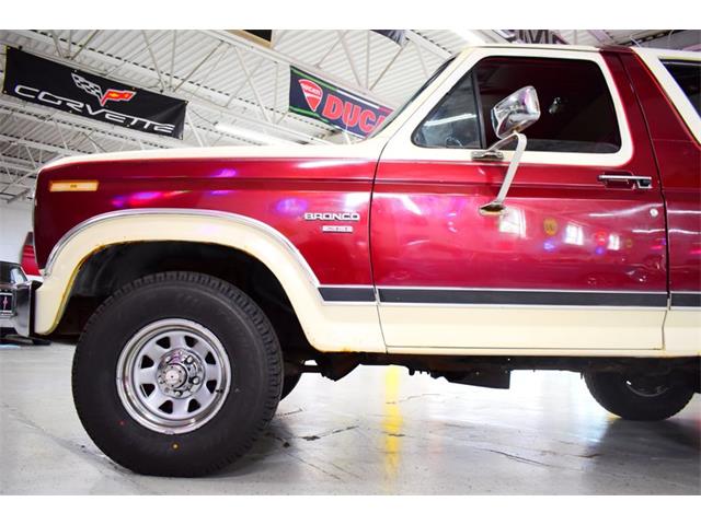 1983 Ford Bronco (CC-2070683) for sale in Wayne, Michigan