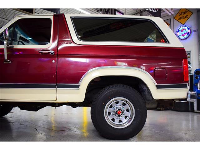 1983 Ford Bronco (CC-2070683) for sale in Wayne, Michigan