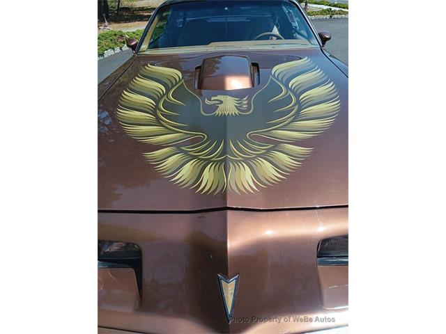 1971 Pontiac Firebird Trans Am (CC-2076873) for sale in Calverton, New York