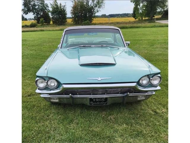 1965 Ford Thunderbird (CC-2076874) for sale in Gregory, Michigan