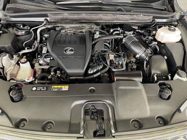2024 Lexus RX (CC-2076875) for sale in Jacksonville, Florida