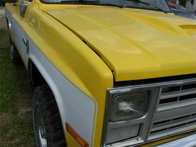 1986 Chevrolet C/K 10 (CC-2076879) for sale in Gray Court, South Carolina