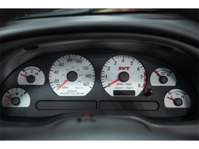 2003 Ford Cobra (CC-2070688) for sale in Bristol, Pennsylvania