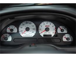 2003 Ford Cobra (CC-2070688) for sale in Bristol, Pennsylvania