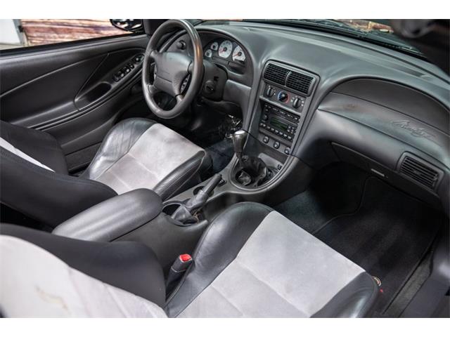 2003 Ford Cobra (CC-2070688) for sale in Bristol, Pennsylvania