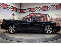 2003 Ford Cobra (CC-2070688) for sale in Bristol, Pennsylvania