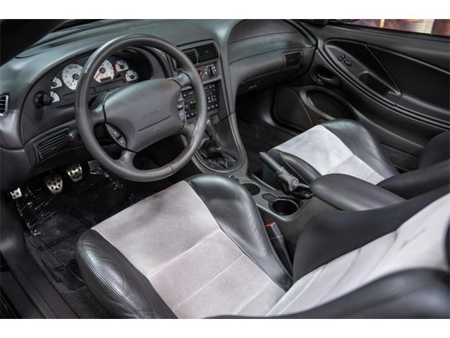 2003 Ford Cobra (CC-2070688) for sale in Bristol, Pennsylvania