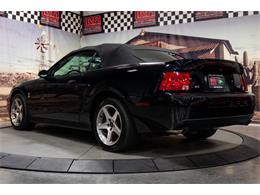 2003 Ford Cobra (CC-2070688) for sale in Bristol, Pennsylvania