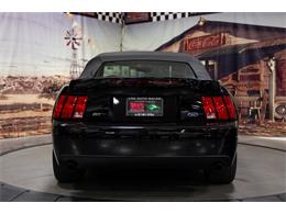 2003 Ford Cobra (CC-2070688) for sale in Bristol, Pennsylvania