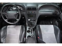 2003 Ford Cobra (CC-2070688) for sale in Bristol, Pennsylvania