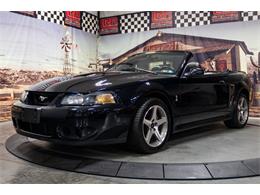 2003 Ford Cobra (CC-2070688) for sale in Bristol, Pennsylvania