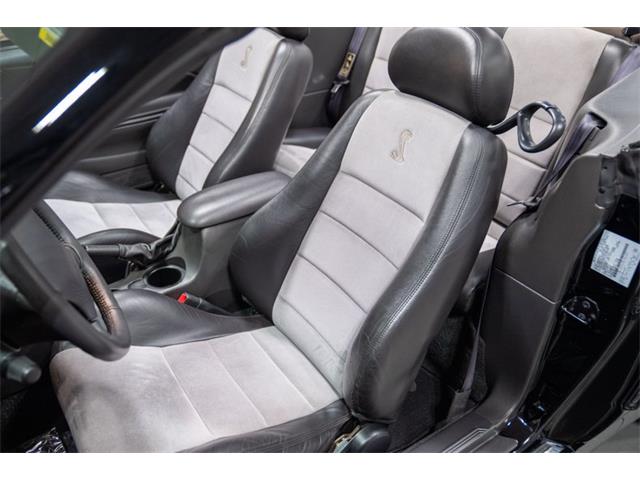 2003 Ford Cobra (CC-2070688) for sale in Bristol, Pennsylvania