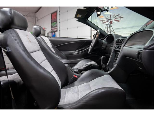 2003 Ford Cobra (CC-2070688) for sale in Bristol, Pennsylvania