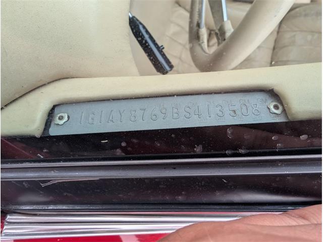1981 Chevrolet Corvette (CC-2077033) for sale in Palmetto, Florida