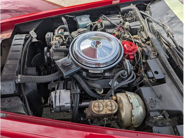 1981 Chevrolet Corvette (CC-2077033) for sale in Palmetto, Florida