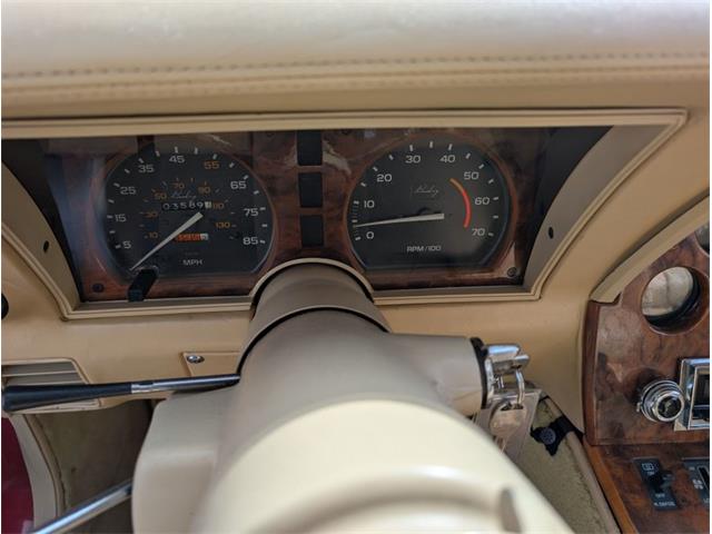 1981 Chevrolet Corvette (CC-2077033) for sale in Palmetto, Florida