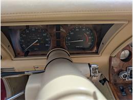 1981 Chevrolet Corvette (CC-2077033) for sale in Palmetto, Florida
