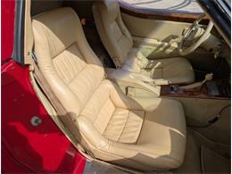 1981 Chevrolet Corvette (CC-2077033) for sale in Palmetto, Florida