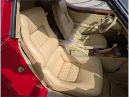 1981 Chevrolet Corvette (CC-2077033) for sale in Palmetto, Florida