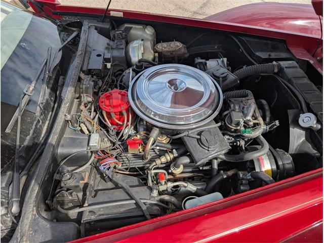 1981 Chevrolet Corvette (CC-2077033) for sale in Palmetto, Florida
