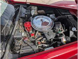 1981 Chevrolet Corvette (CC-2077033) for sale in Palmetto, Florida