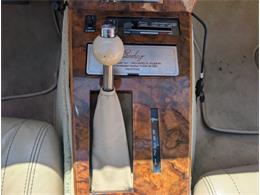 1981 Chevrolet Corvette (CC-2077033) for sale in Palmetto, Florida