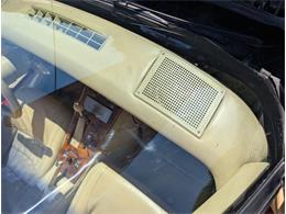 1981 Chevrolet Corvette (CC-2077033) for sale in Palmetto, Florida