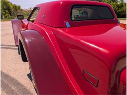 1981 Chevrolet Corvette (CC-2077033) for sale in Palmetto, Florida