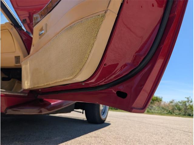 1981 Chevrolet Corvette (CC-2077033) for sale in Palmetto, Florida