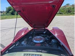 1981 Chevrolet Corvette (CC-2077033) for sale in Palmetto, Florida