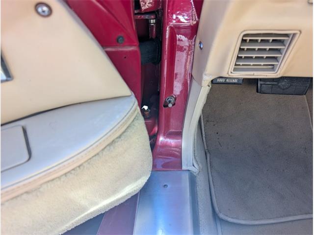 1981 Chevrolet Corvette (CC-2077033) for sale in Palmetto, Florida
