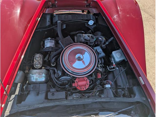 1981 Chevrolet Corvette (CC-2077033) for sale in Palmetto, Florida
