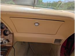 1981 Chevrolet Corvette (CC-2077033) for sale in Palmetto, Florida