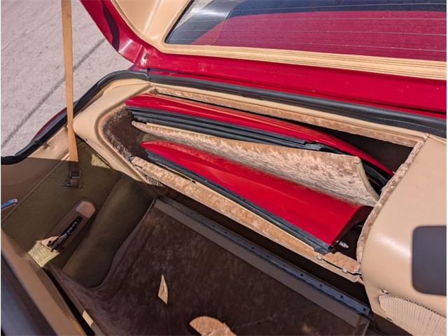 1981 Chevrolet Corvette (CC-2077033) for sale in Palmetto, Florida