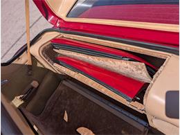 1981 Chevrolet Corvette (CC-2077033) for sale in Palmetto, Florida