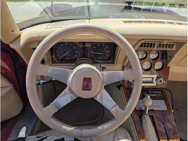 1981 Chevrolet Corvette (CC-2077033) for sale in Palmetto, Florida