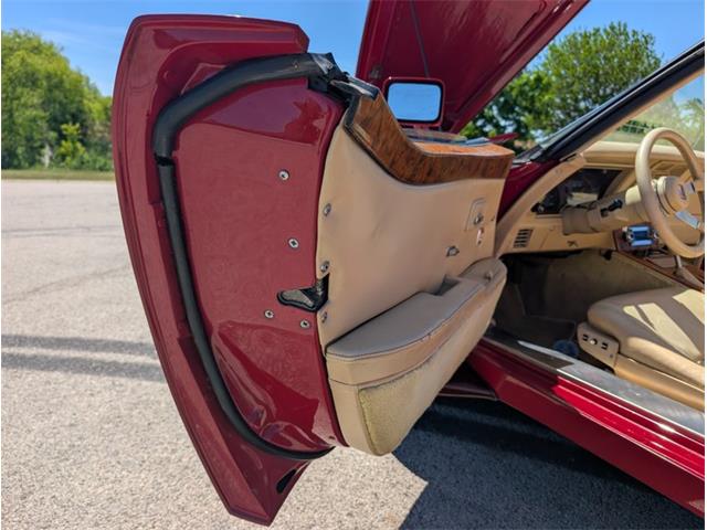 1981 Chevrolet Corvette (CC-2077033) for sale in Palmetto, Florida