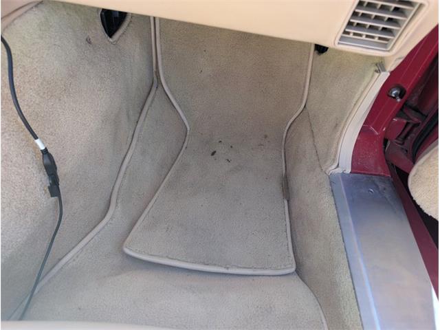 1981 Chevrolet Corvette (CC-2077033) for sale in Palmetto, Florida