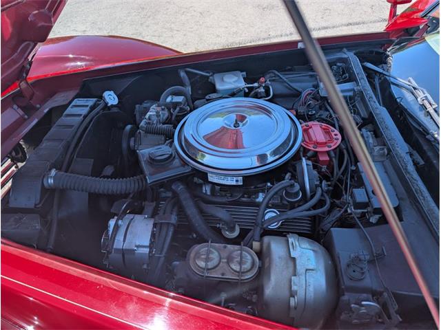 1981 Chevrolet Corvette (CC-2077033) for sale in Palmetto, Florida