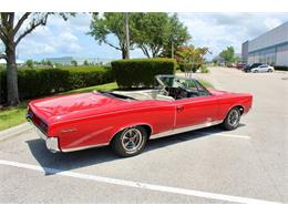 1967 Pontiac GTO (CC-2077042) for sale in Sarasota, Florida