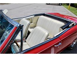 1967 Pontiac GTO (CC-2077042) for sale in Sarasota, Florida