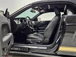 2007 Ford Mustang (CC-2077072) for sale in Cleveland, Ohio