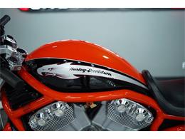 2006 Harley-Davidson V-Rod (CC-2077078) for sale in Biloxi, Mississippi