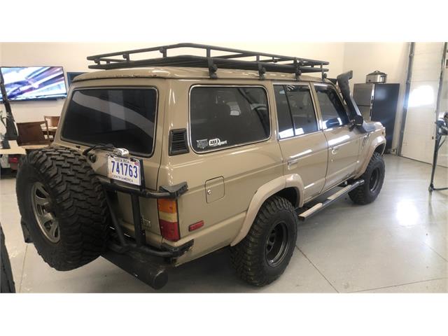 1983 Toyota Land Cruiser FJ (CC-2077090) for sale in Dixon, Illinois
