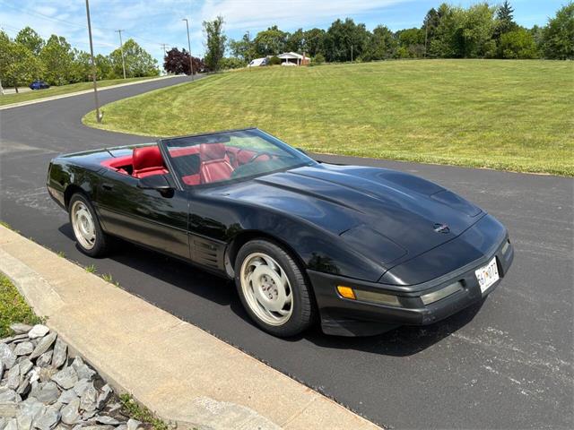 1991 Chevrolet Corvette (CC-2077126) for sale in Clarksburg, Maryland